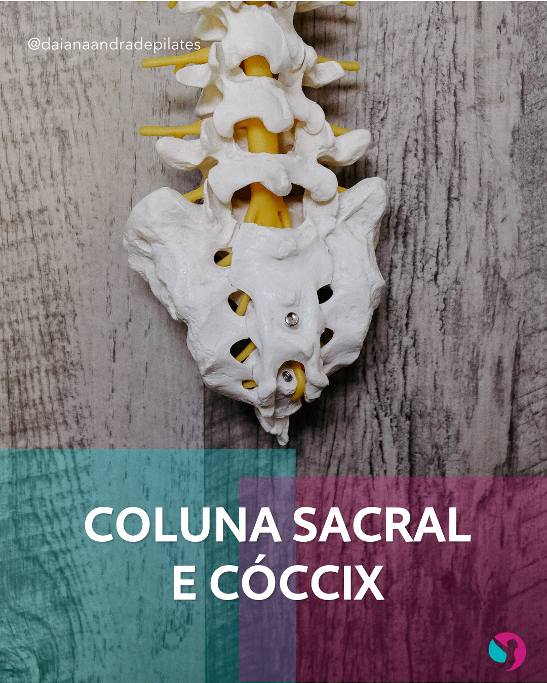 Coluna Sacral e Cóccix