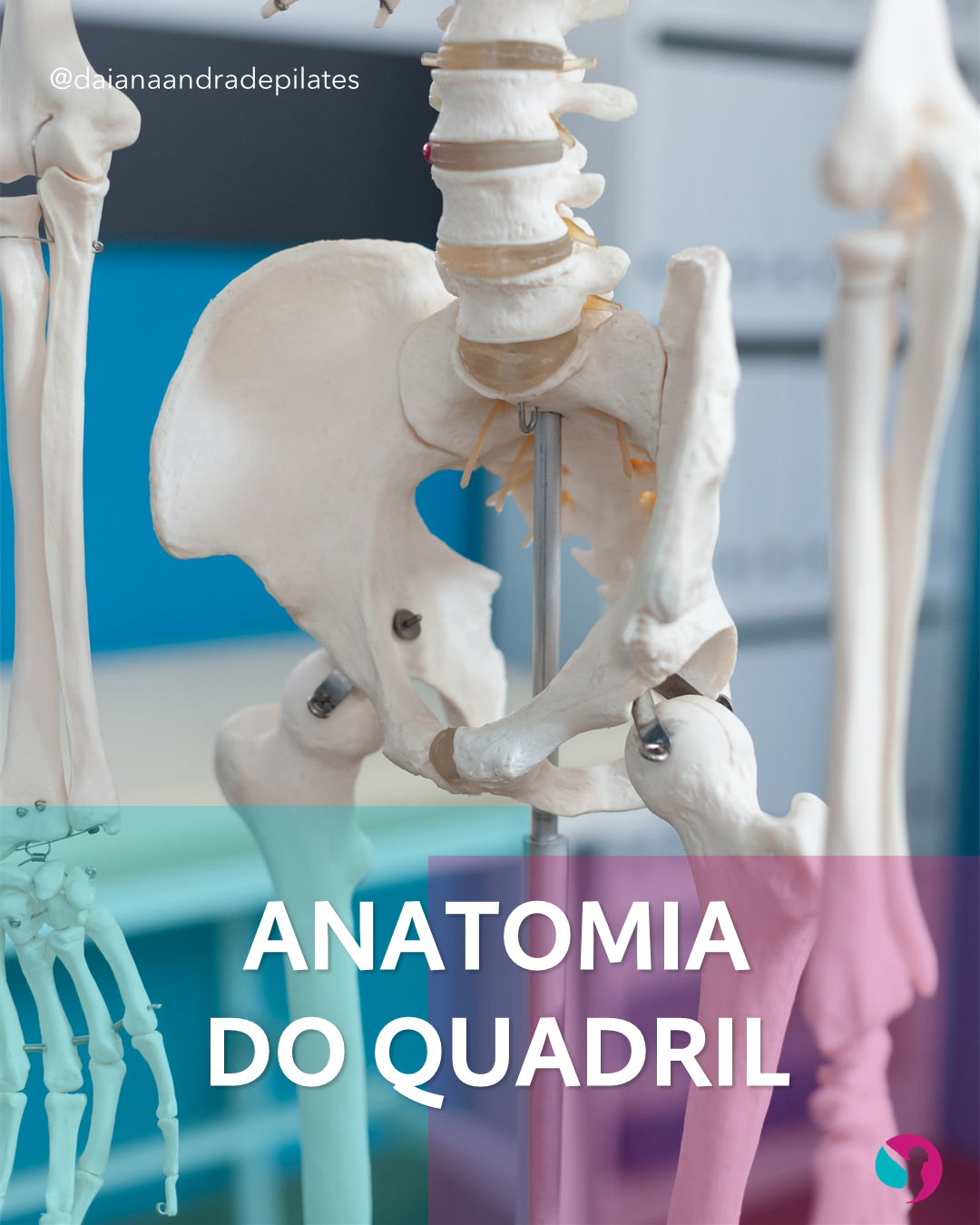 Anatomia do quadril