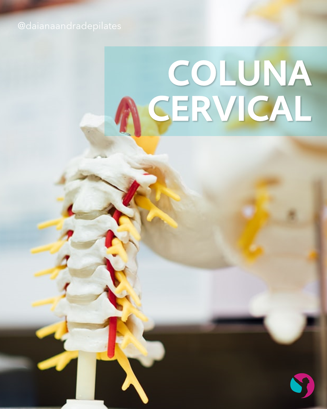 A Coluna Cervical