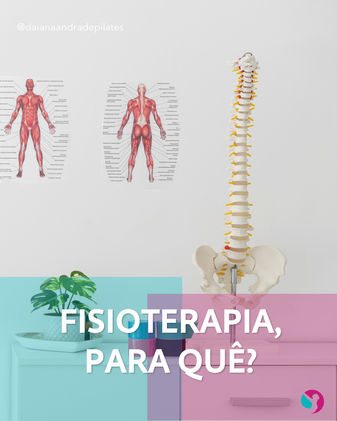 Fisioterapia é para quem?