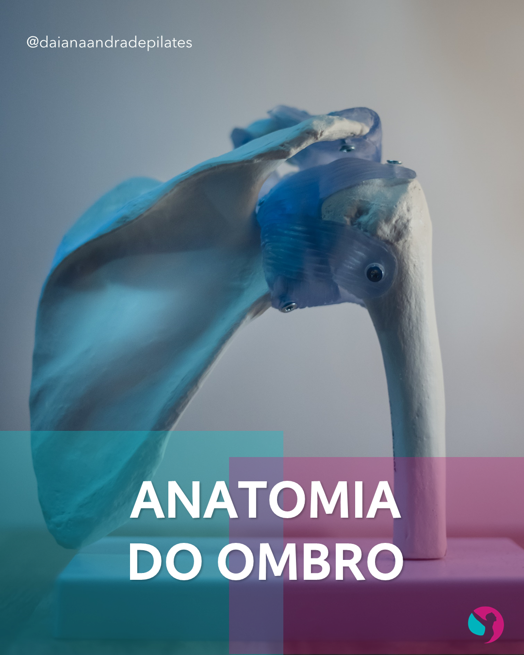 Anatomia do ombro